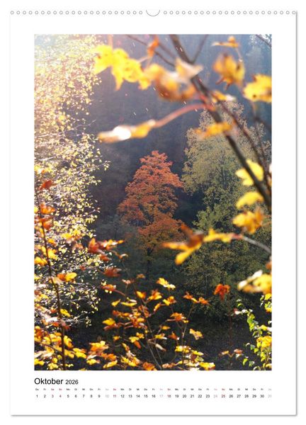 Produktbild: Mein Sehnsuchtsort, der Wald (Wandkalender 2026 DIN A2 hoch), CALVENDO Monatskalender