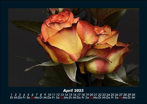Produktbild: Blumentr&auml;ume 2025 Fotokalender DIN A5