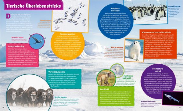 Produktbild: WAS IST WAS Polarstern. Forschen im Eis