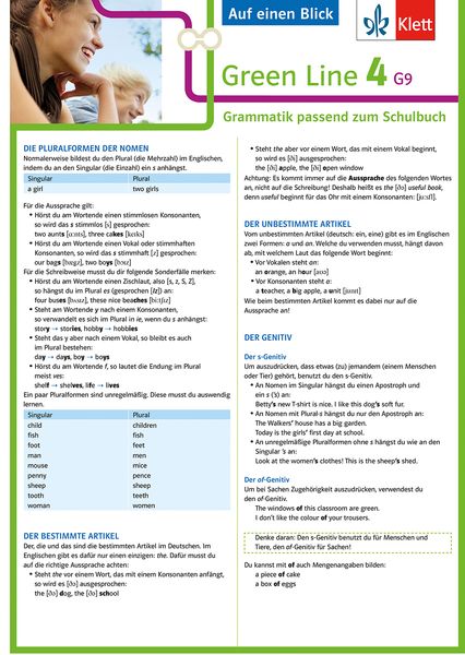 Green Line 4. Auf einen Blick. G9 Klasse 8. Grammatik passend zum Schulbuch - Klappkarte (6 Seiten)