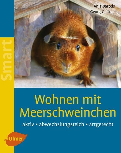 Produktbild: Wohnen mit Meerschweinchen