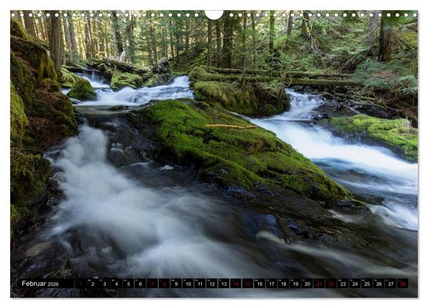 Produktbild: Waldwasser (Wandkalender 2026 DIN A3 quer), CALVENDO Monatskalender
