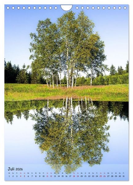 Produktbild: Spiegelb&auml;ume (Wandkalender 2026 DIN A4 hoch), CALVENDO Monatskalender