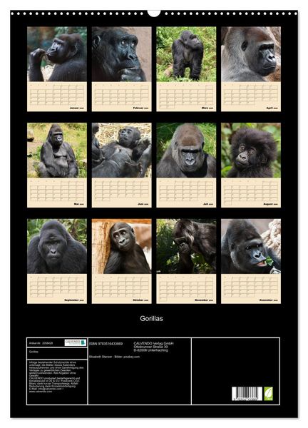 Produktbild: Gorillas (Wandkalender 2026 DIN A2 hoch), CALVENDO Monatskalender