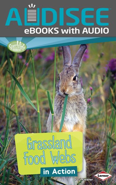 Produktbild: Grassland Food Webs in Action