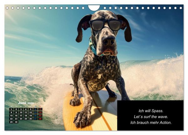 Produktbild: Der humoristische Dogge Kalender (Wandkalender 2026 DIN A4 quer), CALVENDO Monatskalender