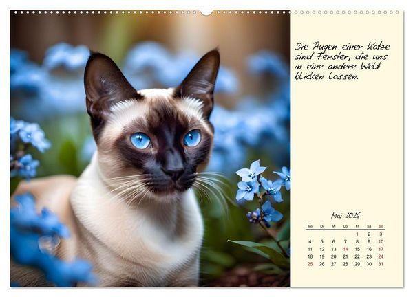 Produktbild: Katzen - Charakter und Sch&ouml;nheit (hochwertiger Premium Wandkalender 2026 DIN A2 quer), Kunstdruck in Hochglanz