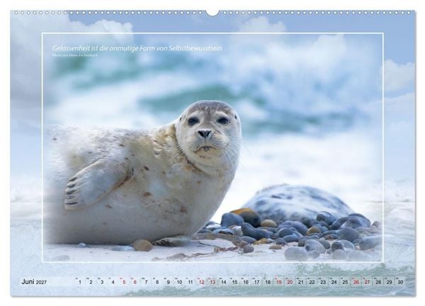 Produktbild: Insel Gedanken (hochwertiger Premium Wandkalender 2027 DIN A2 quer), Kunstdruck in Hochglanz