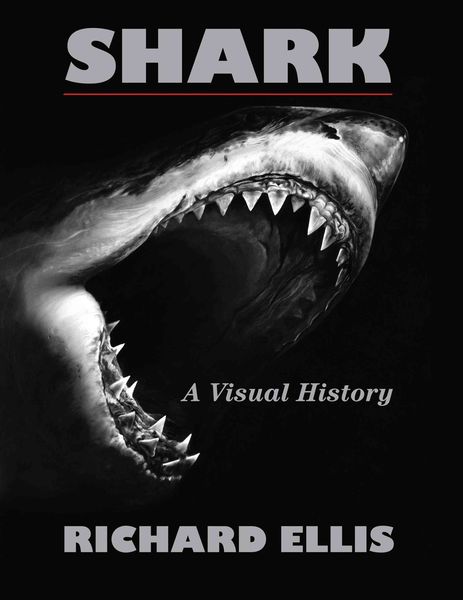 Produktbild: Shark