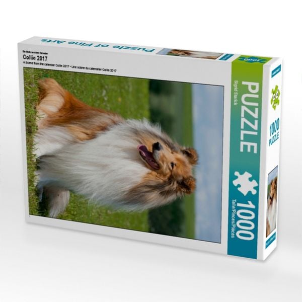Produktbild: CALVENDO Puzzle Ein Motiv aus dem Kalender Collie 2017 | 1000 Teile Lege-Gr&ouml;&szlig;e 64x48cm Foto-Puzzle f&uuml;r gl&uuml;ckliche Stunden