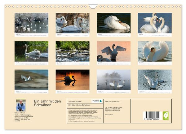 Produktbild: Ein Jahr mit den Schw&auml;nen (Wandkalender 2026 DIN A3 quer), CALVENDO Monatskalender
