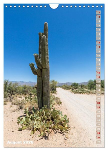 Produktbild: SAGUARO NATIONAL PARK W&uuml;stenimpressionen aus Arizona (Wandkalender 2026 DIN A4 hoch), CALVENDO Monatskalender