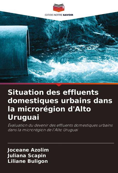 Produktbild: Situation des effluents domestiques urbains dans la micror&eacute;gion d'Alto Uruguai