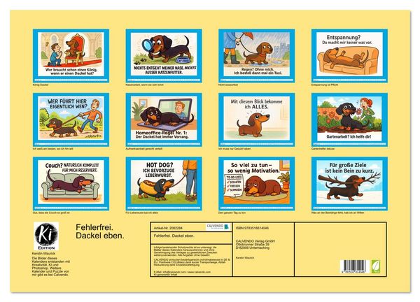 Produktbild: Fehlerfrei. Dackel eben. (Wandkalender 2026 DIN A2 quer), CALVENDO Monatskalender