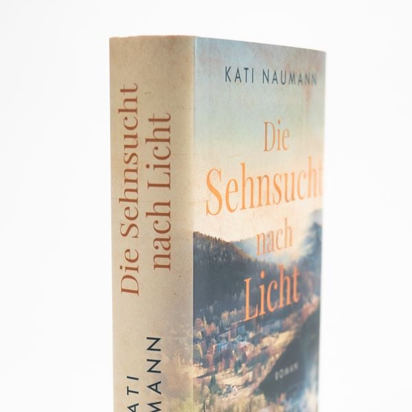 Produktbild: Die Sehnsucht nach Licht