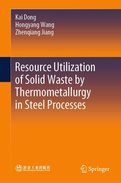 Produktbild: Resource Utilization of Solid Waste by Thermometallurgy in Steel Processes
