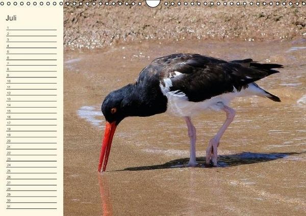 Produktbild: Gal&aacute;pagos Geburtstagskalender (Wandkalender immerw&auml;hrend DIN A3 quer)