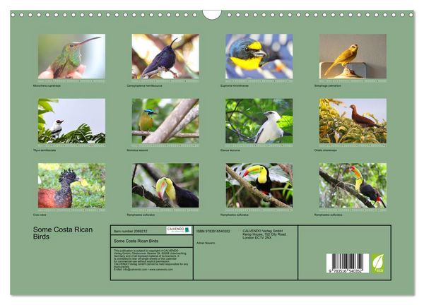 Produktbild: Some Costa Rican Birds (Wall Calendar 2026 DIN A3 landscape), CALVENDO 12 Month Wall Calendar