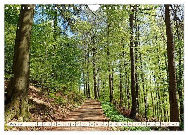 Produktbild: Vom Ried an die Bergstra&szlig;e, durch den Odenwald ins Neckartal (Wandkalender 2026 DIN A4 quer), CALVENDO Monatskalender