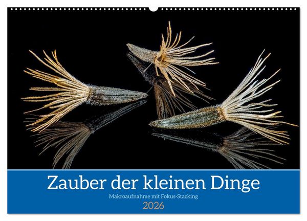 Produktbild: Zauber der kleinen Dinge (Wandkalender 2026 DIN A2 quer), CALVENDO Monatskalender