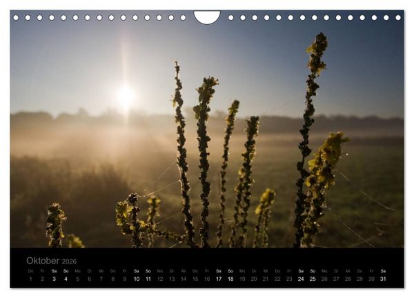 Produktbild: Natur im Detail (Wandkalender 2026 DIN A4 quer), CALVENDO Monatskalender