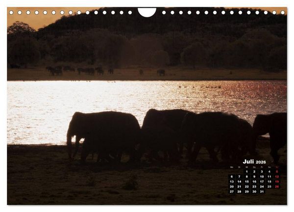 Produktbild: Bedrohte Riesen - Elefanten in Sri Lanka (Wandkalender 2026 DIN A4 quer), CALVENDO Monatskalender