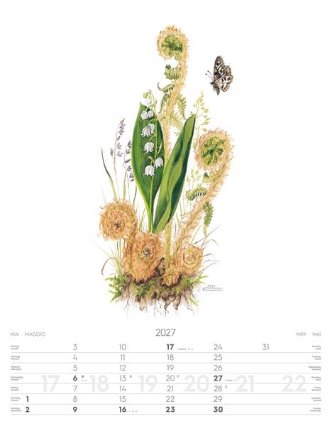 Produktbild: Alpenblumen-Aquarelle Kalender 2027