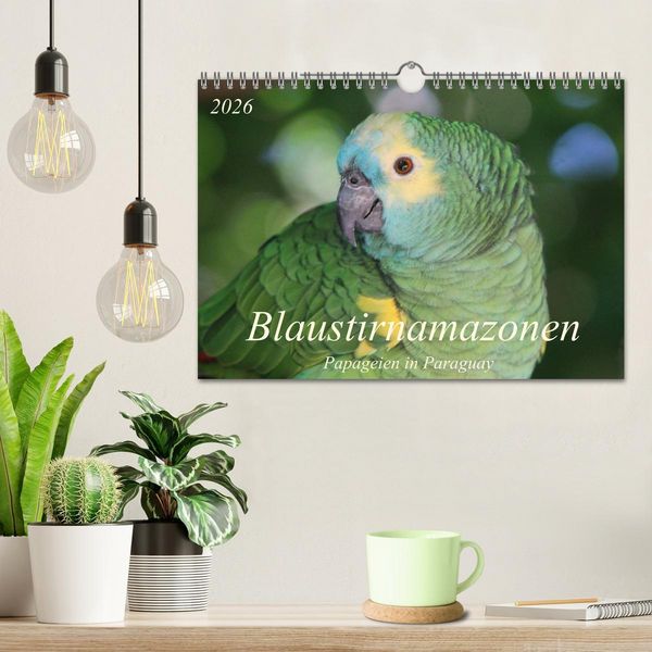 Produktbild: Blaustirnamazonen - Papageien in Paraguay (Wandkalender 2026 DIN A4 quer), CALVENDO Monatskalender