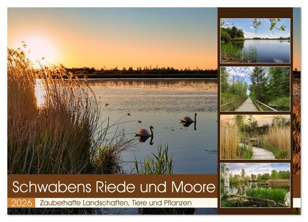 Schwabens Riede und Moore (Wandkalender 2026 DIN A4 quer), CALVENDO Monatskalender