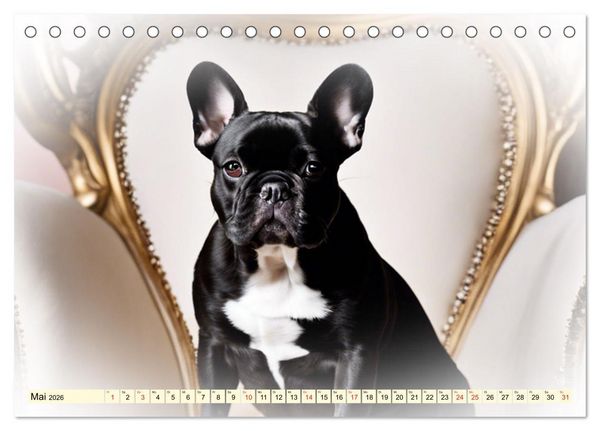 Produktbild: Rasseportraits - Hunde (Tischkalender 2026 DIN A5 quer), CALVENDO Monatskalender