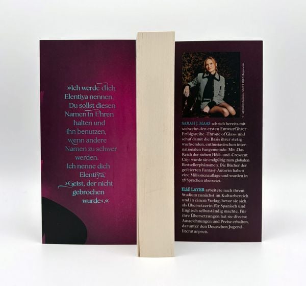 Produktbild: Kriegerin im Schatten / Throne of Glass Band 2
