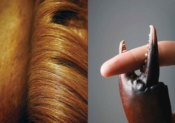 Produktbild: Bilder, zu denen Sie nicht masturbieren sollten