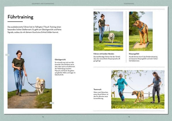 Produktbild: Tellington-Training f&uuml;r Hunde