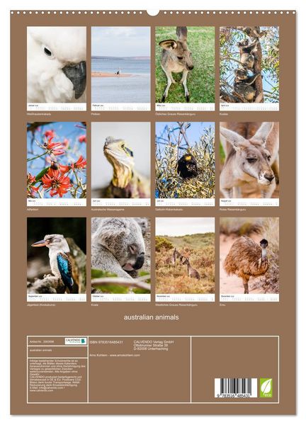 Produktbild: australian animals (hochwertiger Premium Wandkalender 2026 DIN A2 hoch), Kunstdruck in Hochglanz