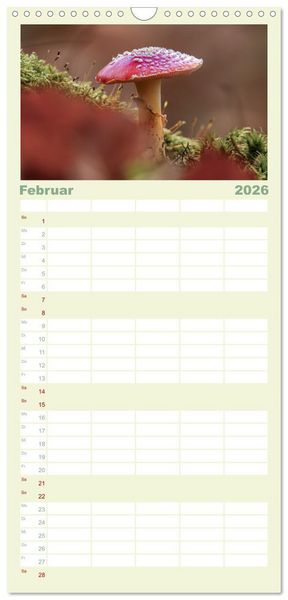 Produktbild: Familienplaner 2026 - Die Welt der Fliegenpilze mit 5 Spalten (Wandkalender, 21 x 45 cm) CALVENDO