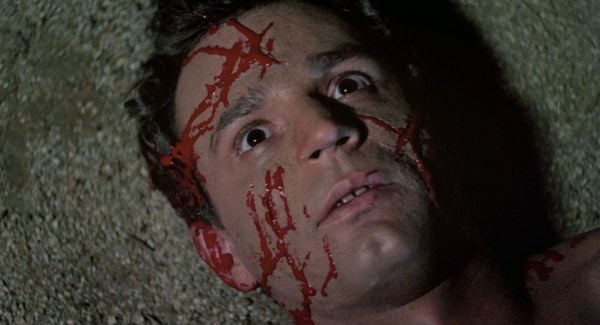 Produktbild: PIGS - Uncut Limited Mediabook (in HD neu abgetastet, Blu-ray+DVD+Booklet, limitiert auf 500 St&uuml;ck)