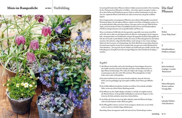 Produktbild: Einfach gestalten mit 5 Pflanzen