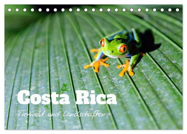 Produktbild: Costa Rica - Tierwelt und Landschaften (Tischkalender 2026 DIN A5 quer), CALVENDO Monatskalender