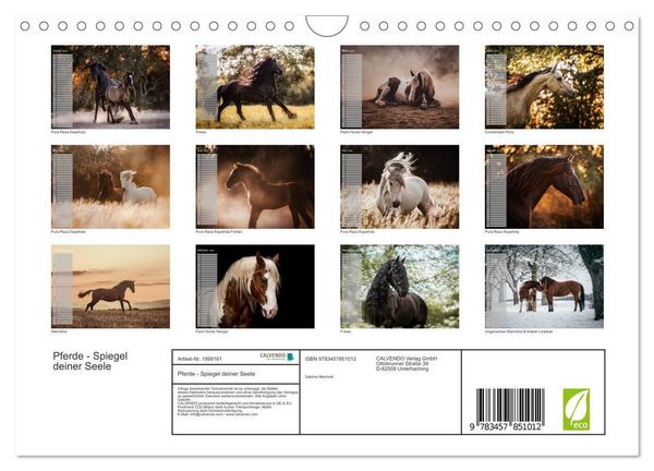 Produktbild: Pferde - Spiegel deiner Seele (Wandkalender 2026 DIN A4 quer), CALVENDO Monatskalender