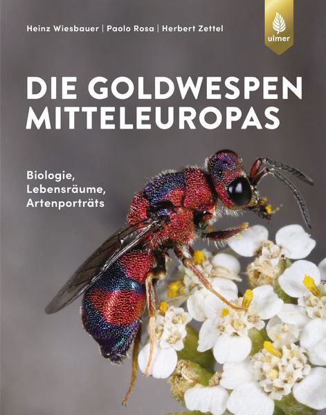 Die Goldwespen Mitteleuropas, Gebundene Ausgabe von Heinz Wiesbauer,Paolo Rosa,Herbert Zettel, Verlag Eugen Ulmer, 978-3-8186-1149-1
