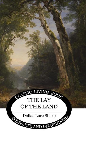 Produktbild: The Lay of the Land