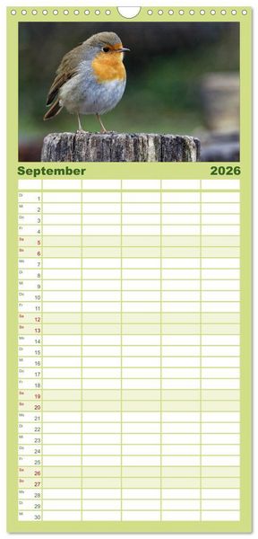 Produktbild: Familienplaner 2026 - Heimische Gartenv&ouml;gel mit 5 Spalten (Wandkalender, 21 x 45 cm) CALVENDO
