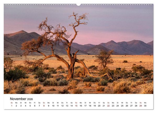 Produktbild: B&auml;ume in Namibias Landschaften (hochwertiger Premium Wandkalender 2026 DIN A2 quer), Kunstdruck in Hochglanz