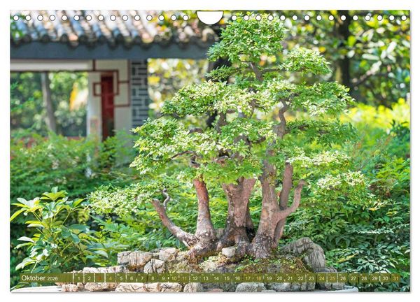 Produktbild: Gartenkunst aus Japan: Bonsai (Wandkalender 2026 DIN A4 quer), CALVENDO Monatskalender
