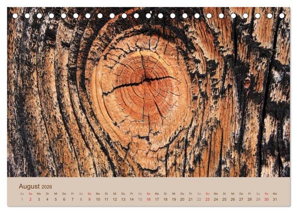 Produktbild: Farben des Holzes (Tischkalender 2026 DIN A5 quer), CALVENDO Monatskalender