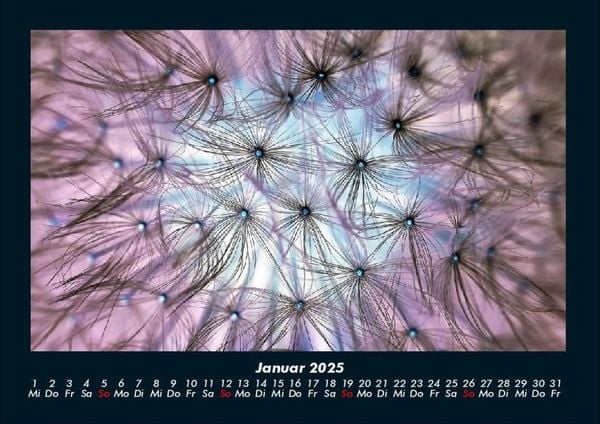 Produktbild: Blumenträume 2025 Fotokalender DIN A4