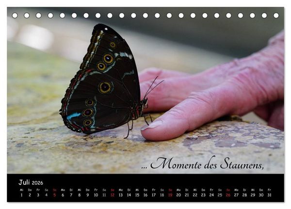 Produktbild: Gut gelaunt durch's Rentenjahr (Tischkalender 2026 DIN A5 quer), CALVENDO Monatskalender