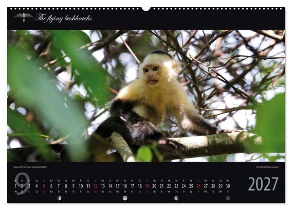 Produktbild: Costa Rica Blickwinkel 2027 (Wandkalender 2027 DIN A2 quer), CALVENDO Monatskalender