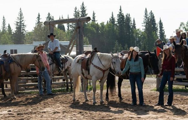 Produktbild: Heartland - Paradies f&uuml;r Pferde - Staffel 12 (Neuauflage) [4 DVDs]
