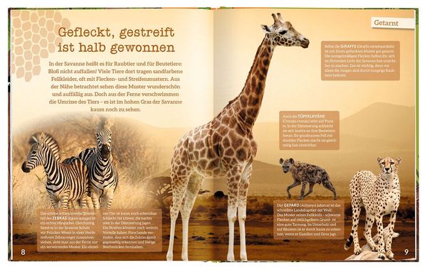 Produktbild: Der gro&szlig;e Outfit-Check der Tiere